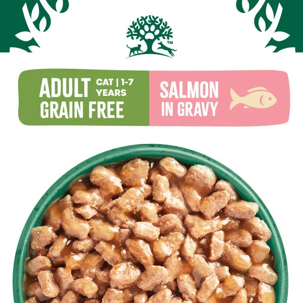 Adult Salmon in Gravy Grain Free Wet Cat Food Pouches