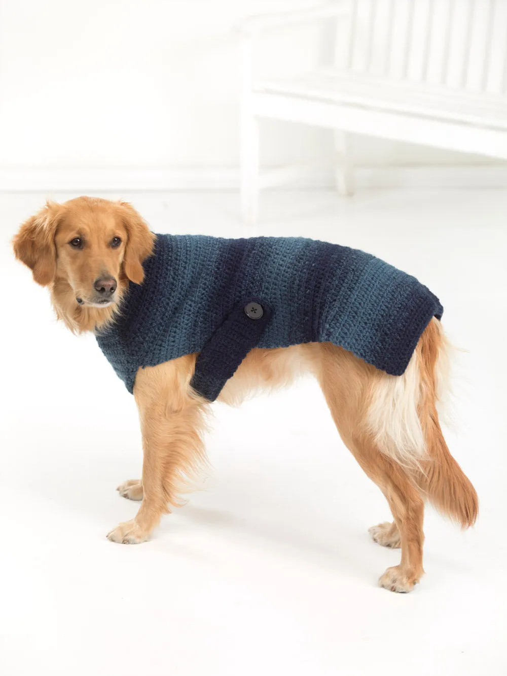 Asta Dog Sweater (Crochet) - Version 1