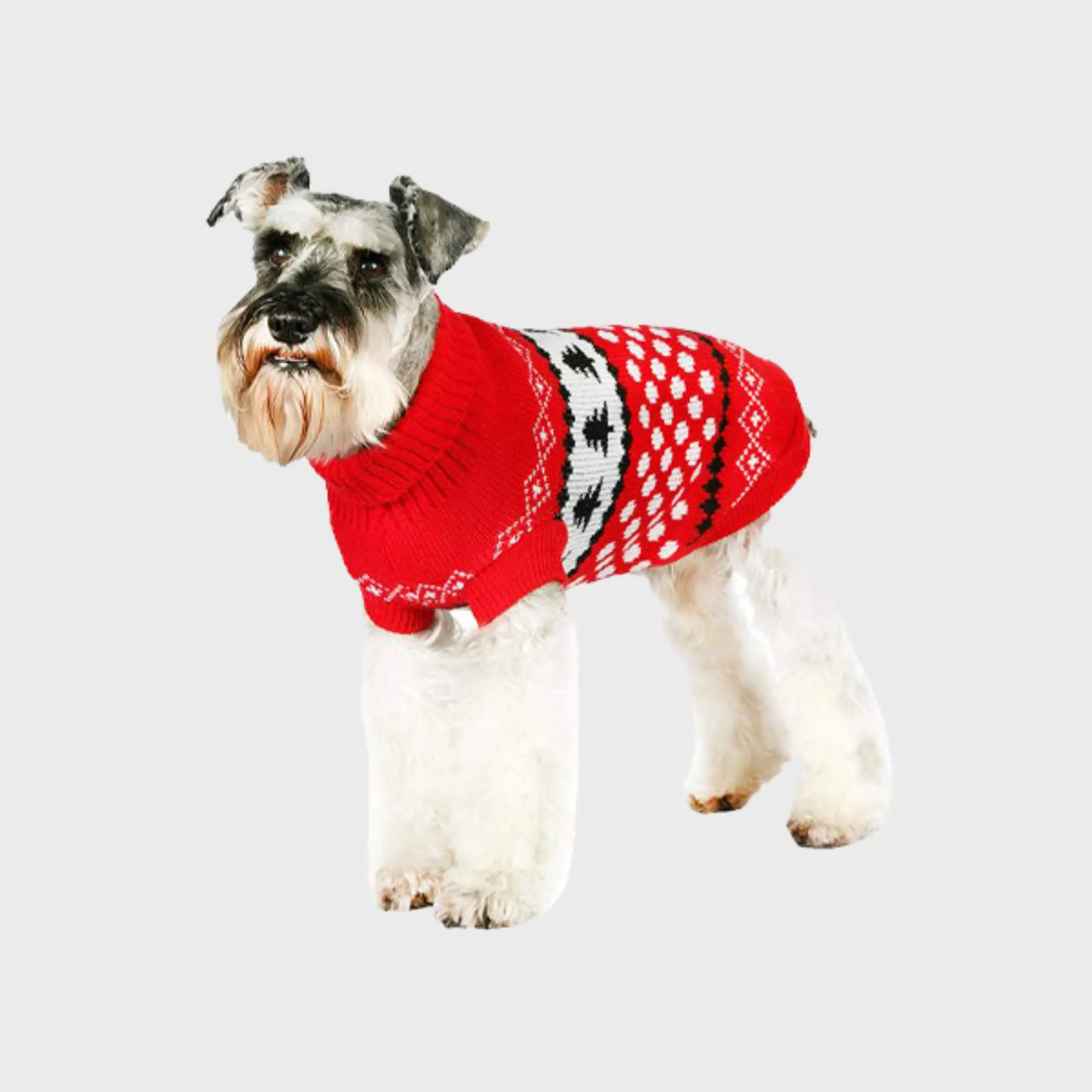 Christmas Jumper, Snowball