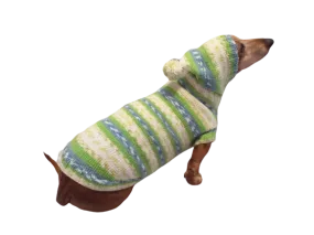 Clothing for dachshund or small dog with sweater with hoodie