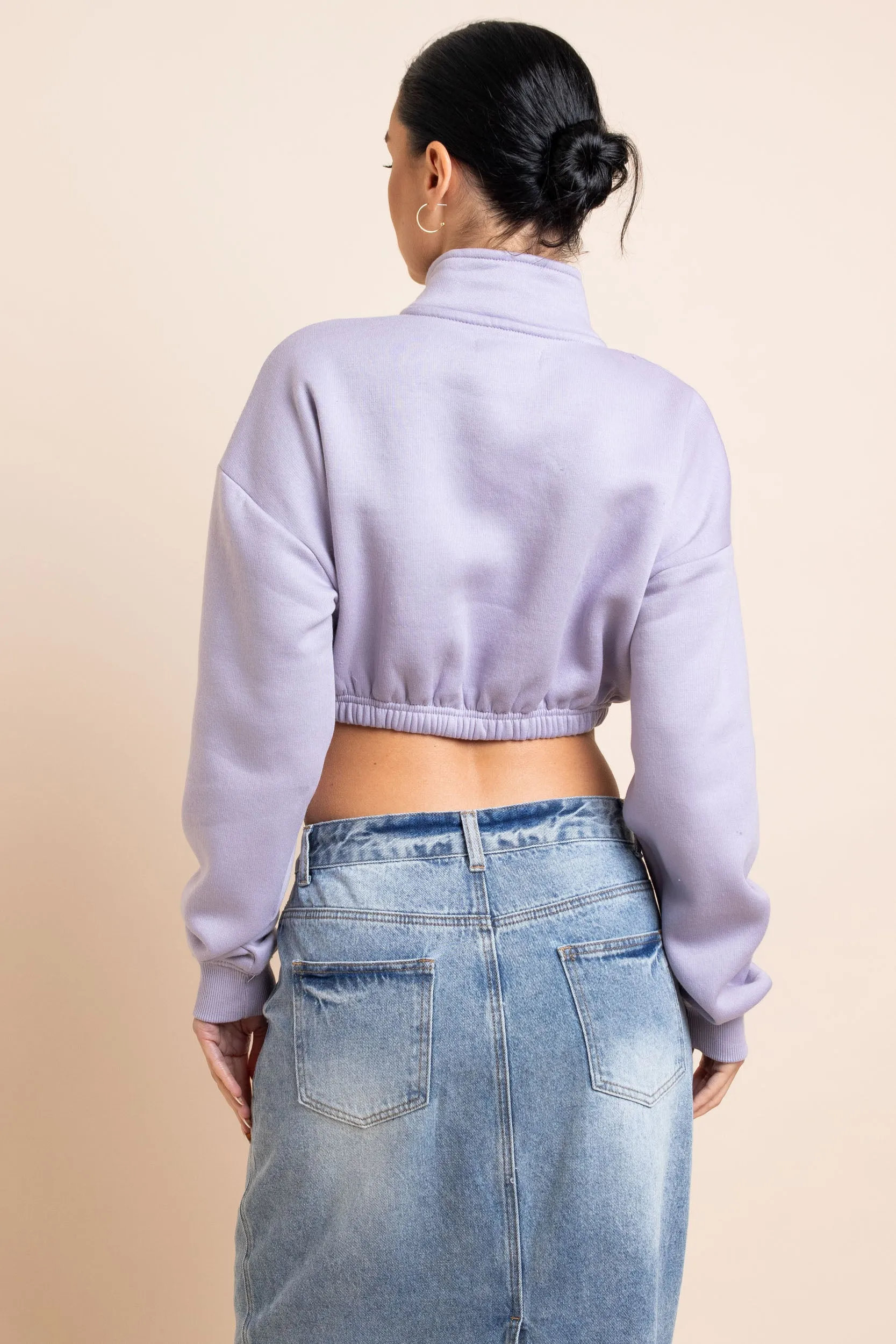 Daisy Street 1/4 Zip Elastic Waist Crop Sweater in Misty Lilac