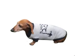 Halloween costume with spider for dachshund dog