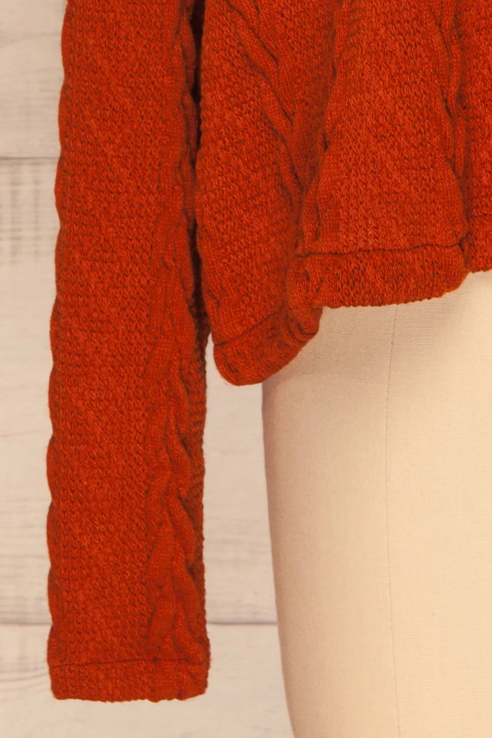 Hellen Rust | Cropped Knit Sweater