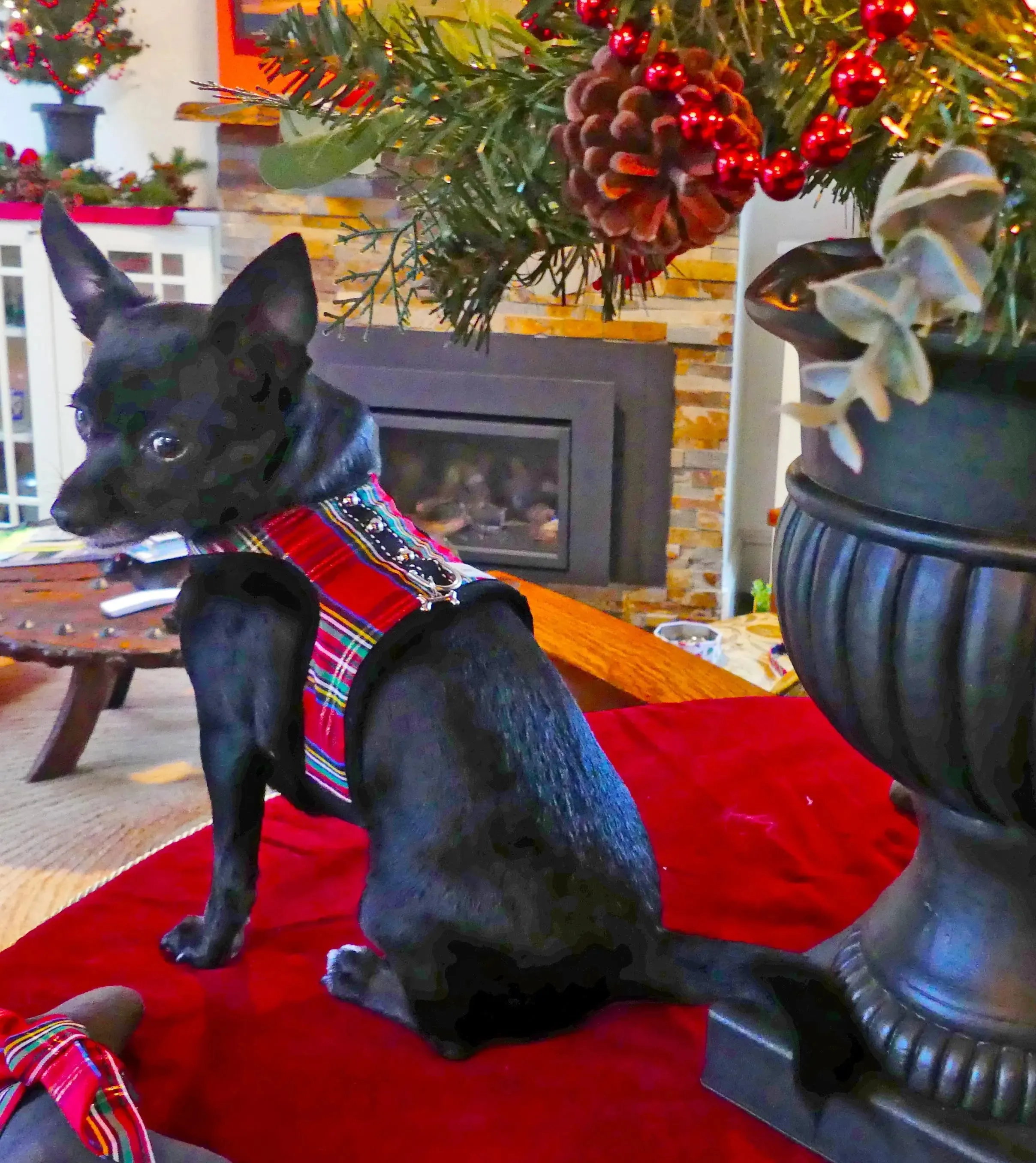 Holiday Tartan Plaid Teacup Dog Harness Vest | 2 LBS to 6 LBS