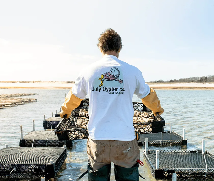 Joly Oysters from Dennis, MA