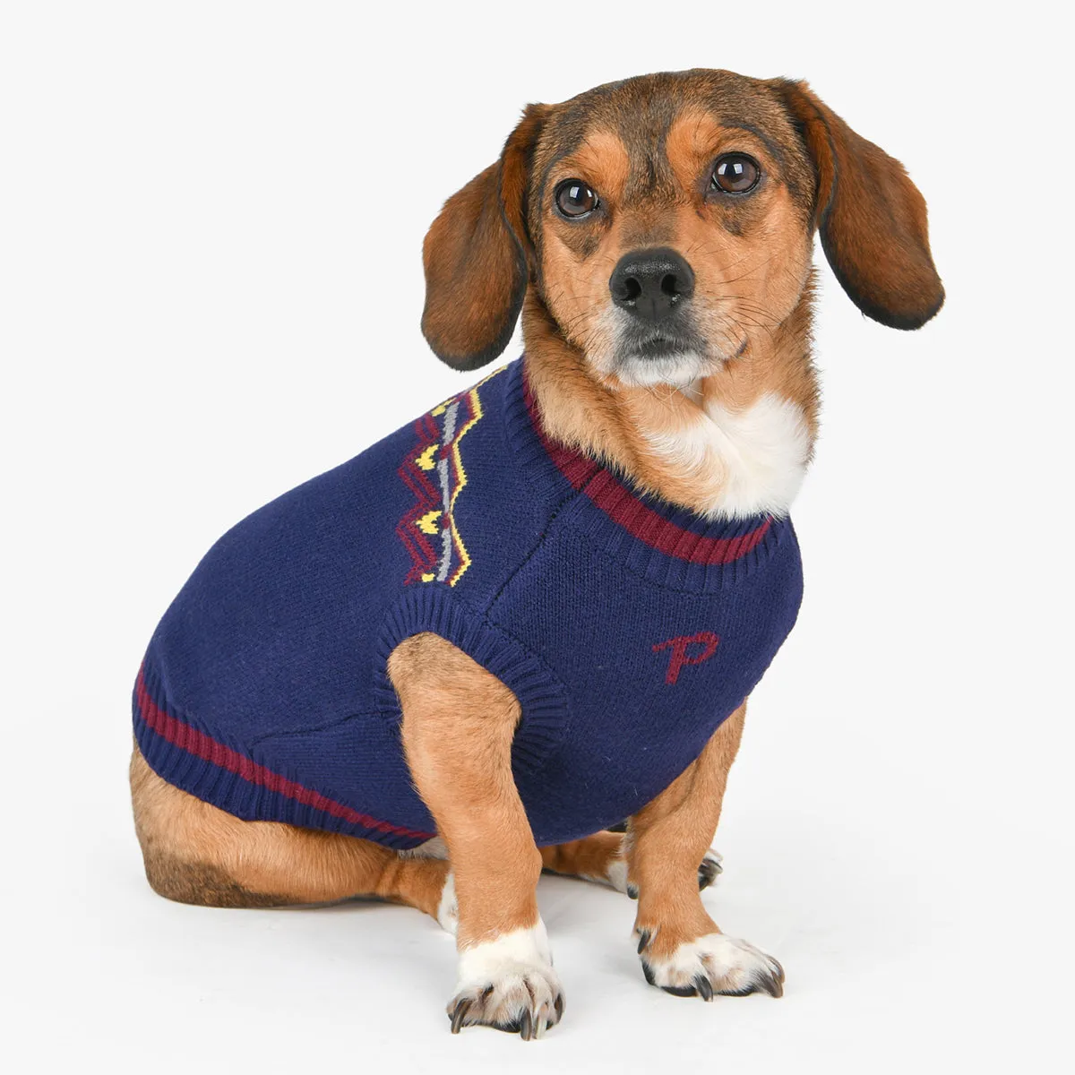 Kylo Dog Sweater