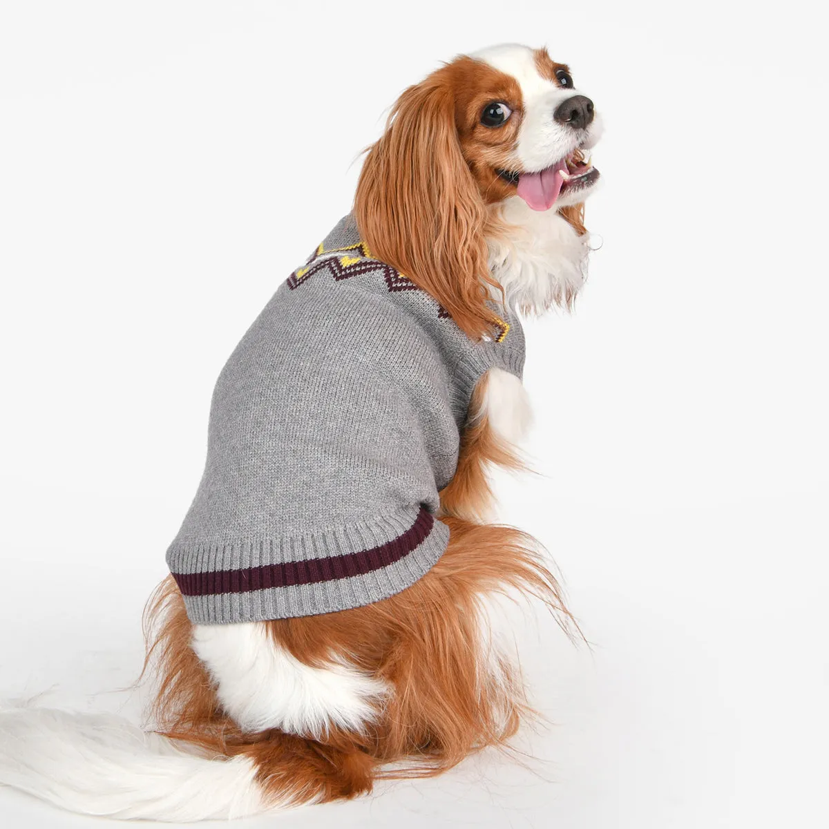 Kylo Dog Sweater