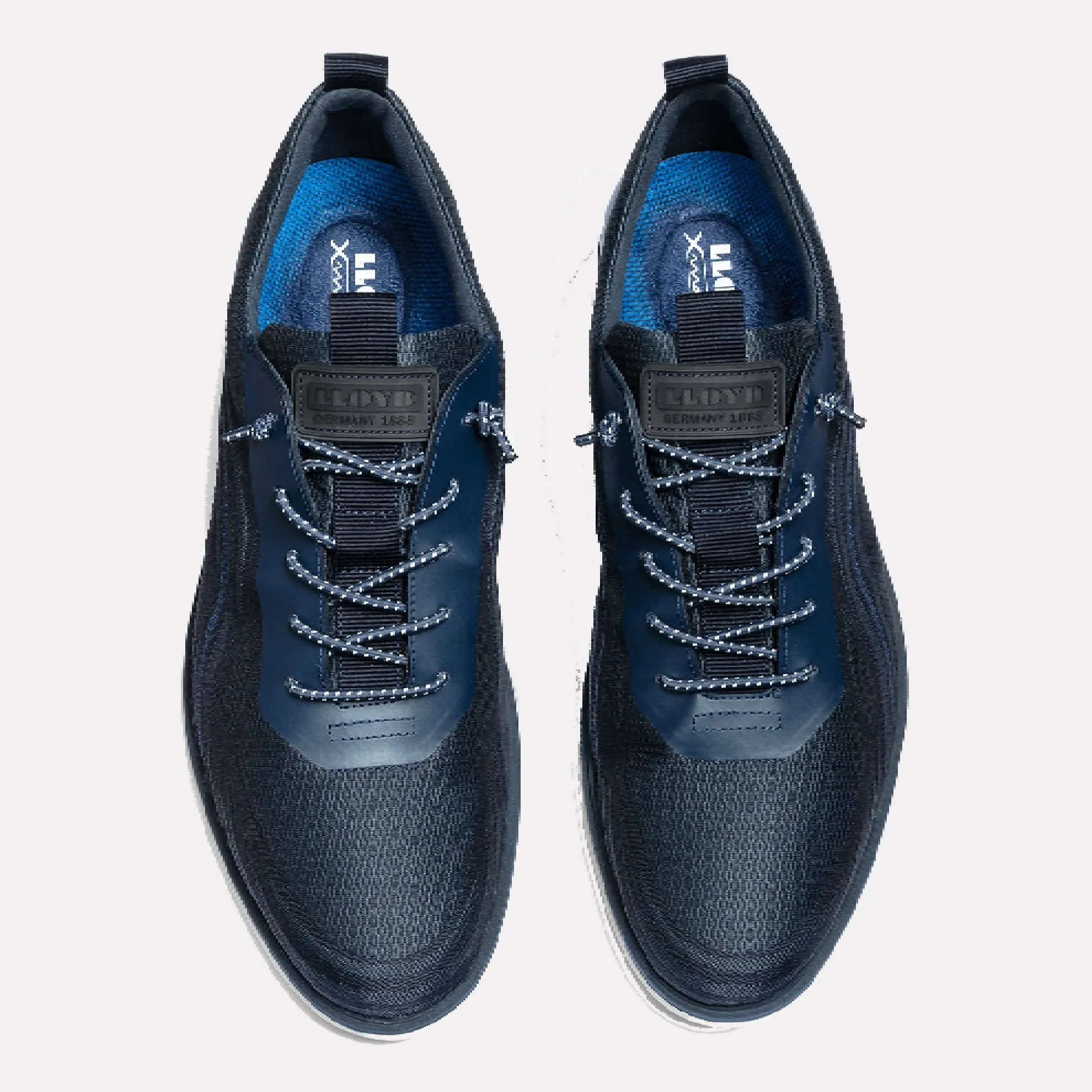 LLOYD "MAGNUS" Flexible Outsole Knit Sneaker / Black and Blue