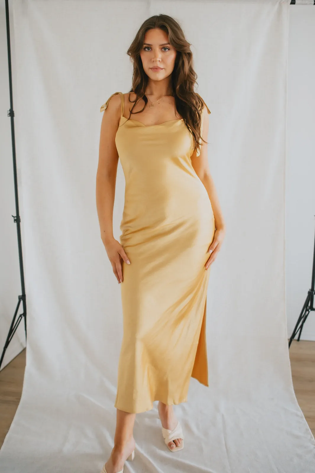 The Cinta Dress by Heartloom - Golden