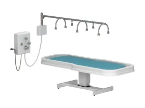 Touch America Neptune Battery Vichy Shower & Wet Table Package Deal