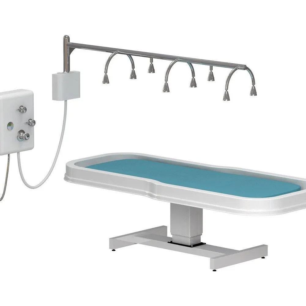 Touch America Neptune Stationary Vichy Shower & Wet Table Package Deal